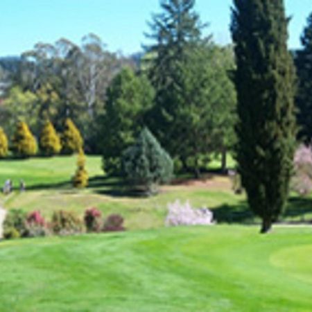 Alexander Motel Taumarunui Buitenkant foto